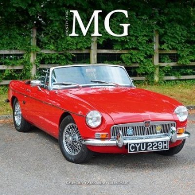 Mg Square Car Wall 16 Month 2024