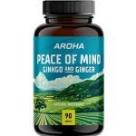 Aroha Ginkgo & Ginger 90 kapslí – Hledejceny.cz