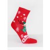 Pesail Vánoční ponožky SNP9357-2