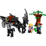 LEGO® Harry Potter™ 76400 Bradavice: Kočár a testrálové – Zboží Živě