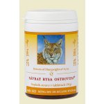 TCM Herbs Návrat rysa ostrovida R 183 100 tablet – Hledejceny.cz