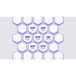 Endorfy Supremo FM6 Gold 1000W EY7A011 – Sleviste.cz