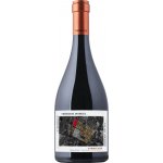 Timbrus Purcari Estate Terroir Syrah suché červené 2018 14% 0,75 l (holá láhev) – Hledejceny.cz
