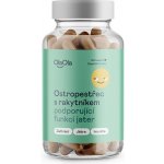 OlaOla Ostropestřec s rakytníkem podporující funkci jater 60 kapslí – Hledejceny.cz