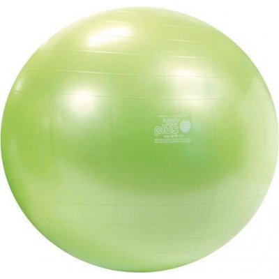 Gymnic Physio Plus 85 cm – Zbozi.Blesk.cz