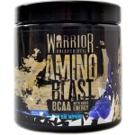 Warrior Amino Blast 270 g – Hledejceny.cz