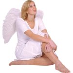 Křídla péřová bílá 50 x 60 cm – Zboží Mobilmania