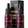 Doplněk stravy na spánek a nervovou soustavu HempBona CBD olej 10% Full spectrum 20 ml