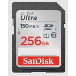 SanDisk SDXC Class 10 256 GB SDSDUNC-256G-GN6IN – Zboží Mobilmania