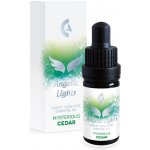 Eurona Angelic Lights vonný olej Tajuplný cedr 5 ml – Hledejceny.cz