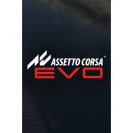 Assetto Corsa Evo – Zboží Dáma