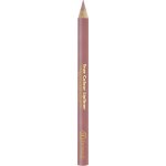 Dermacol True Colour Lipliner dřevěná konturovací tužka na rty 05 2 g – Zboží Dáma
