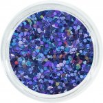 Aglia EXTREME PURPLE HOLOGRAM glitry na nehty 2 g – Hledejceny.cz