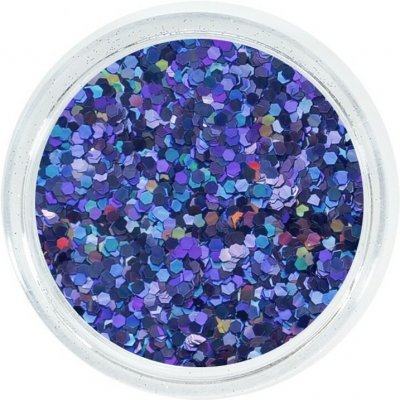 Aglia EXTREME PURPLE HOLOGRAM glitry na nehty 2 g – Hledejceny.cz