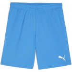 Puma teamGOAL – Hledejceny.cz