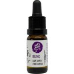 Ecopets sérum proti blechám a klíšťatům 30 ml – Zboží Dáma