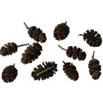 Invital AlderCones 20 g – Zboží Dáma Invital AlderCones 20 g – Zboží Dáma