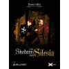 Hra na PC 1428: Shadows over Silesia