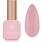 NANI gel lak Premium 6 ml - Frozen Rose – Hledejceny.cz