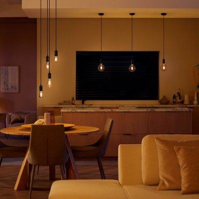 Philips Hue White E27 7W globe filament G125 550lm 871951434302300 – Hledejceny.cz