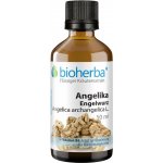 Bioherba Andělika (Engelwurz) kapky tinktura 50 ml – Hledejceny.cz