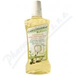 Carlotherm bylinná 250 ml – Zboží Dáma