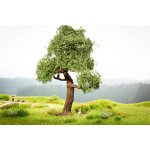 Noch H0/TT pohyblivý model Strom s mikro pohybem s houpačkou výška 150 mm 21768 – Hledejceny.cz