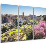 Obraz 3D třídílný - 105 x 70 cm - The aerial view of Roman Forum in Rome, Italy Letecký pohled na Římské fórum v Římě, Itálie – Hledejceny.cz