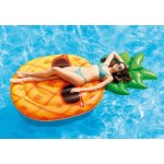 Intex 58790 COOL ANANAS – Zbozi.Blesk.cz