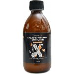 BrainMax Liquid Liposomal Curcumin mango 200 mg 250 ml – Hledejceny.cz