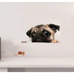 Nalepte.cz samolepka na zeď arch, rozměry Pes mops, rozměry 130 x 120 cm – Zboží Dáma
