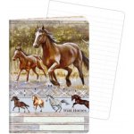 Argus Sešit A6 TYP 644 Wild horses – Zboží Dáma