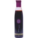 Berrywell Brown Shampoo 251 ml – Zbozi.Blesk.cz
