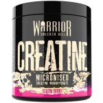 Warrior Creatine Micronised 300g – Zboží Mobilmania