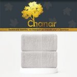 ChanarRučník Ekonom 50 x 90 cm bílý – Zboží Mobilmania