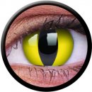 MaxVuu Vision ColorVue Crazy čočky Cat Eye barevné tříměsíční dioptrické 2 čočky