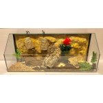 TeraZoo želvárium Pangea 100 x 40 x 40 cm – Zboží Dáma