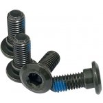 BRONCO 2025/01 šrouby brzdového kotouče M8 X 10mm X 4,5mm YAMAHA YFM 550 / 660 / 700 03-23, YFM 700 KODIAK 16-23, RHINO 450 HUNTER 09 | Zboží Auto
