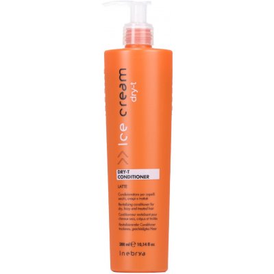 Inebrya Dry-T revitalizační kondicionér pro suché a poškozené vlasy Revitalizing Conditioner for Dry Frizzy and Treated Hair 300 ml – Zbozi.Blesk.cz