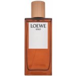 Loewe Solo toaletní voda pánská 100 ml – Hledejceny.cz