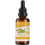 DAR Z PŘÍRODY, s.r.o. Sladidlo se sladidly z rostliny stévie 50 ml – Sleviste.cz