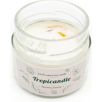 TROPIKALIA Tropicandle blooming jasmine 150 ml – Zboží Mobilmania