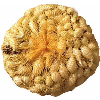 AgroBio Cibule sazečka Shakespeare 250 g – Zboží Dáma