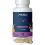 Valsam Vet Livwell 60 kapslí – Hledejceny.cz