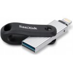 SanDisk iXpand Drive Go 64GB SDIX60N-064G-GN6NN – Zbozi.Blesk.cz