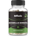 Botanic Boswellie kapsle 65% 60 kapslí – Hledejceny.cz