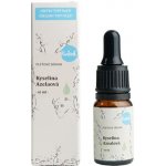 Kvitok pleťové sérum kyselina Azaleová 10 ml – Zbozi.Blesk.cz