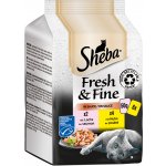 Sheba Fresh & Fine Kuřecí a Losos ve šťávě 6 x 50 g – Zboží Mobilmania