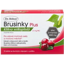 Dr. Böhm Brusinky Plus klikva velkoplodá 67 mg PAC 10 sáčků