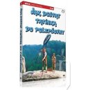 Jak dostat tatínka do polepšovny DVD